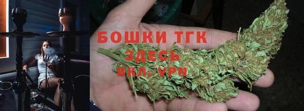 2c-b Бородино