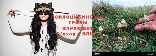 трава Верхнеуральск