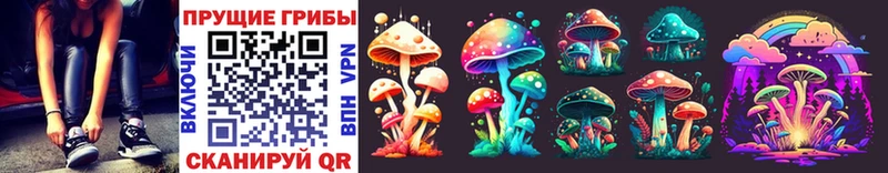 Псилоцибиновые грибы MAGIC MUSHROOMS  Дмитриев 